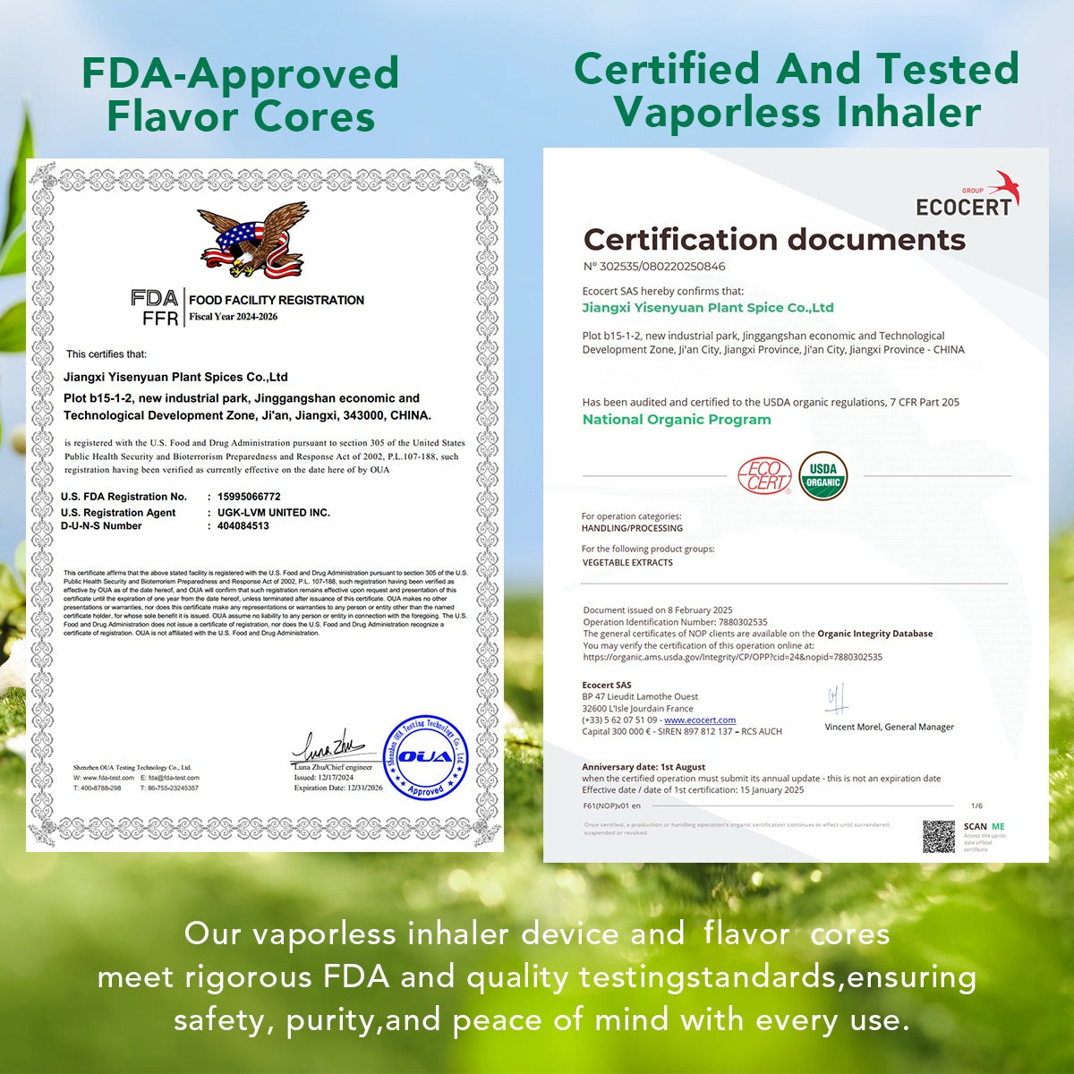 Bambre Flavor Cores Complete Set. Explore All 10 Flavors Packs